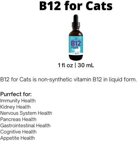 Jackson Galaxy: B12 for Cats-Dietary Supplement-Supports The Health of Your cat’s Immune System, Nervous System, Digestive System & Cognitive Function. in Saudi Arabia