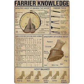 معرفة بيطار معدن القصدير علامة حافر صحي مقابل حافر غير صحي، مواصفات الحذاء والتحجيم تشريح حافر الحصان عمل فني جداري ملصق مزرعة مدرسة الناس كهف غرفة نوم ديكور لوحة عتيقة in Kuwait