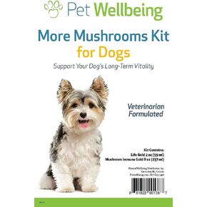 Pet Wellbeing More Mushrooms Kit for Dogs with Cancer - Immune System Support and Antioxidant Protection - Turkey Tail, Reishi, Maitake, Astragalus, Blessed Thistle, Sheep Sorrel in Saudi Arabia