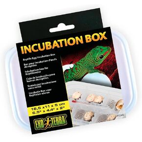 Exo Terra Incubation Box for Reptile and Amphibian Terrariums in Kuwait