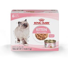 Royal Canin Feline Health Nutrition Kitten Thin Slices in Gravy Canned Cat Food, 3 oz., Count of 24