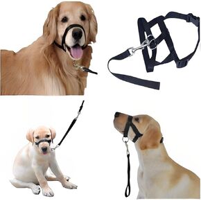 طوق رأس الكلب، مقود تدريب الكلاب - رسن رأس مبطن بدون سحب مع حزام أمان ومشبك، هالة عاكسة للكلاب توقف عن سحب المقود، أداة تدريب فعالة للمشي للكلاب المتوسطة in Kuwait