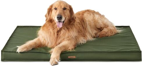 Lesure Waterproof Dog Bed for Medium Dogs - Outdoor Dog Bed with Oxford Fabric Surface, Medium Egg Orthopedic Foam Pet Bed with Removable and Durable Cover, Machine Washable in Kuwait