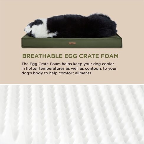 Lesure Waterproof Dog Bed for Medium Dogs - Outdoor Dog Bed with Oxford Fabric Surface, Medium Egg Orthopedic Foam Pet Bed with Removable and Durable Cover, Machine Washable in Kuwait