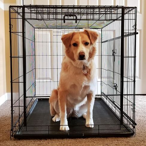 Cardinal Gates Sliding Door Pet Crates - Dog Kennel with Plastic Tray Included Medium in Kuwait