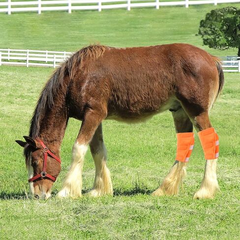 vomvomp Hock Shield Protector for Horse Hock Wrap Horse Hock Leg Joint Sore Boot in Saudi Arabia