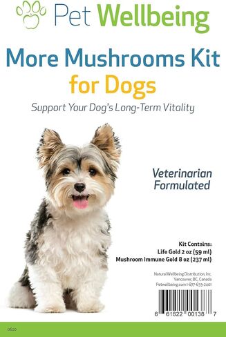 Pet Wellbeing More Mushrooms Kit for Dogs with Cancer - Immune System Support and Antioxidant Protection - Turkey Tail, Reishi, Maitake, Astragalus, Blessed Thistle, Sheep Sorrel in Saudi Arabia