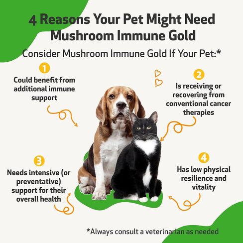 Pet Wellbeing More Mushrooms Kit for Dogs with Cancer - Immune System Support and Antioxidant Protection - Turkey Tail, Reishi, Maitake, Astragalus, Blessed Thistle, Sheep Sorrel in Saudi Arabia