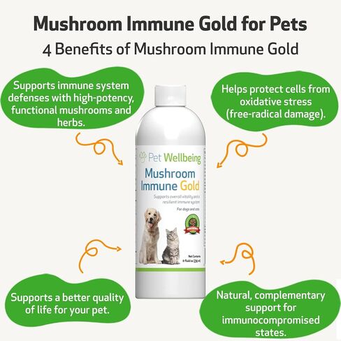 Pet Wellbeing More Mushrooms Kit for Dogs with Cancer - Immune System Support and Antioxidant Protection - Turkey Tail, Reishi, Maitake, Astragalus, Blessed Thistle, Sheep Sorrel in Saudi Arabia