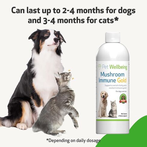 Pet Wellbeing More Mushrooms Kit for Dogs with Cancer - Immune System Support and Antioxidant Protection - Turkey Tail, Reishi, Maitake, Astragalus, Blessed Thistle, Sheep Sorrel in Saudi Arabia
