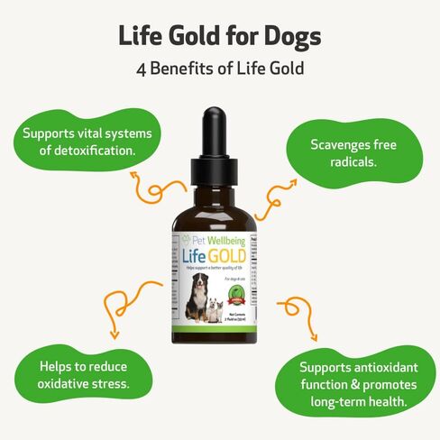 Pet Wellbeing More Mushrooms Kit for Dogs with Cancer - Immune System Support and Antioxidant Protection - Turkey Tail, Reishi, Maitake, Astragalus, Blessed Thistle, Sheep Sorrel in Saudi Arabia