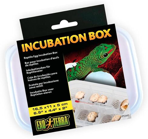 Exo Terra Incubation Box for Reptile and Amphibian Terrariums in Saudi Arabia