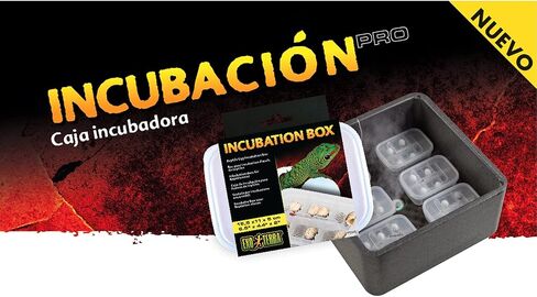 Exo Terra Incubation Box for Reptile and Amphibian Terrariums in Saudi Arabia