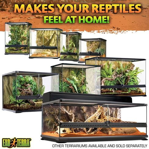 Exo Terra Glass Terrarium Kit, for Reptiles and Amphibians, Mini Wide, 12 x 12 x 12 Inches, PT2600A1 in Saudi Arabia