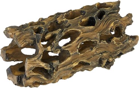 Exo Terra Cholla Cactus Skeleton, Small in Kuwait