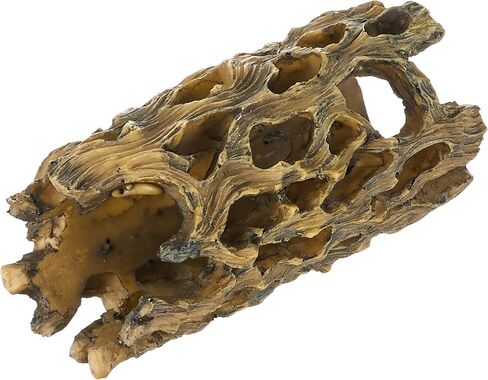 Exo Terra Cholla Cactus Skeleton, Small in Kuwait