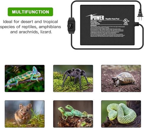 iPower 6 × 8 بوصة 8 واط حصيرة التدفئة الزواحف مع جهاز التحكم في درجة الحرارة تحت خزان وسادة الحرارة Terrarium للزواحف والبرمائيات، أسود in Kuwait