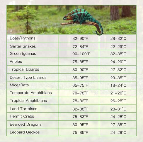 iPower 6 × 8 بوصة 8 واط حصيرة التدفئة الزواحف مع جهاز التحكم في درجة الحرارة تحت خزان وسادة الحرارة Terrarium للزواحف والبرمائيات، أسود in Kuwait