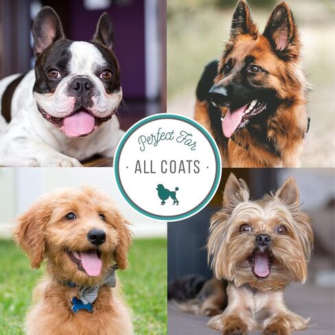 شامبو الإغاثة السريعة بالنيم للحيوانات الأليفة من شركة نيتشر سبشياليتيز، 946 مل in Kuwait