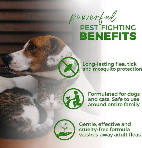 شامبو PawPurity للبراغيث/القراد، مكونات نباتية طبيعية ومعدنية فقط، يحسن صحة جلد ومعطف الكلاب والقطط، رائحة الحمضيات، منتج صديق للبيئة وتغليف مصنوع في الولايات المتحدة الأمريكية (8 أونصة) in Kuwait