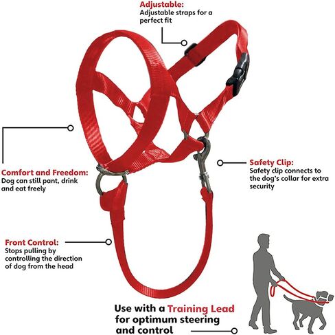Dog Head Collar, No Pull Training Tool for Dogs on Walks, Includes Free Training Guide, 5 (S, Red) in Saudi Arabia