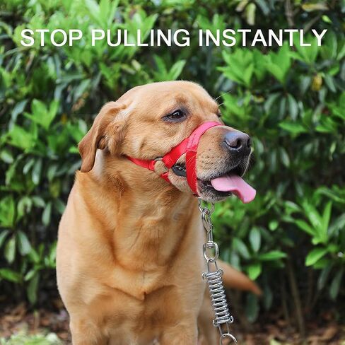 Dog Head Collar, No Pull Training Tool for Dogs on Walks, Includes Free Training Guide, 5 (S, Red) in Saudi Arabia