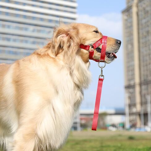 Dog Head Collar, No Pull Training Tool for Dogs on Walks, Includes Free Training Guide, 5 (S, Red) in Saudi Arabia