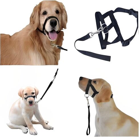 طوق رأس الكلب، مقود تدريب الكلاب - رسن رأس مبطن بدون سحب مع حزام أمان ومشبك، هالة عاكسة للكلاب توقف عن سحب المقود، أداة تدريب فعالة للمشي للكلاب المتوسطة in Kuwait