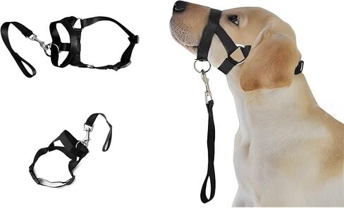 طوق رأس الكلب، مقود تدريب الكلاب - رسن رأس مبطن بدون سحب مع حزام أمان ومشبك، هالة عاكسة للكلاب توقف عن سحب المقود، أداة تدريب فعالة للمشي للكلاب المتوسطة in Kuwait