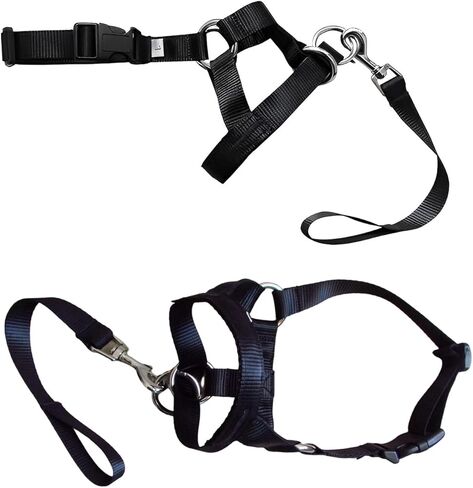 طوق رأس الكلب، مقود تدريب الكلاب - رسن رأس مبطن بدون سحب مع حزام أمان ومشبك، هالة عاكسة للكلاب توقف عن سحب المقود، أداة تدريب فعالة للمشي للكلاب المتوسطة in Kuwait