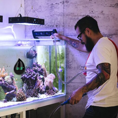 ميزان حرارة حوض السمك الرقمي: ميزان حرارة حوض السمك اللاسلكي عالي الدقة لقياس درجة حرارة حوض السمك مقياس حرارة رقمي لسلاحف الأسماك in Kuwait