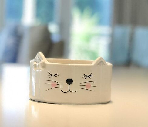 كورراجونج فارم هاوس مجموعة من 2 وعاء سيراميك للقطط - عرض 4.5 انش × ارتفاع 2 انش - وعاء ماء للقطط ووعاء طعام للقطط - اوعية طعام قطط لطيفة للقطط في الاماكن المغلقة - فريدة من نوعها للغاية in Kuwait