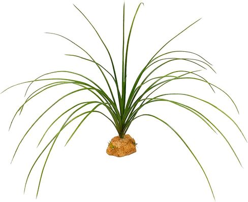 Woyrise Reptile Artificial Plants Terrarium Decor, Amphibian Habitat Hideout Bearded Dragon Tank Decorations fit Crested Gecko Leopard Lizard Chameleon Ball Python Snake Frog - Calamus in Saudi Arabia