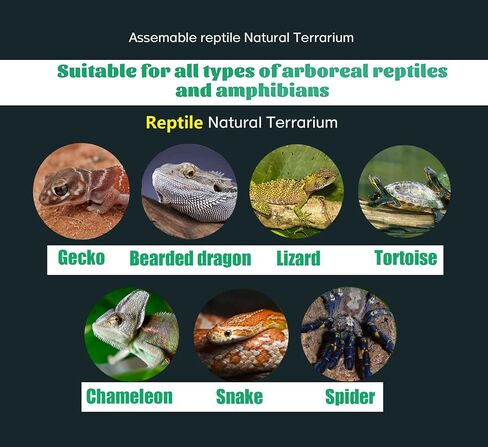 Woyrise Reptile Artificial Plants Terrarium Decor, Amphibian Habitat Hideout Bearded Dragon Tank Decorations fit Crested Gecko Leopard Lizard Chameleon Ball Python Snake Frog - Calamus in Saudi Arabia