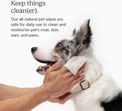 مناديل مبللة للحيوانات الأليفة من فابل - مكونات طبيعية وعضوية بالكامل - تنظف وترطب وتزيل الروائح الكريهة من فراء حيوانك الأليف وكفوفه وأذنيه وخلفه - 50 منديلًا مبللًا كبيرًا جدًا للاستخدام اليومي - حافظ على نظافة حيوانك الأليف ومنتعشًا in Kuwait