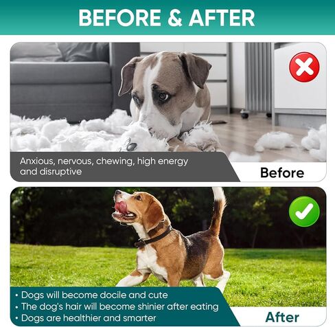 Hemp Calming Chews for Dogs, Dog Calming Treats, 100% Golden Ratio of Natural Ingredients, Composure & Relaxation for Everyday Stress, Separation, Barking in Kuwait