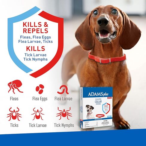 Adams Plus Flea & Tick Collar for Dogs, 7-Month Protection, Adjustable Collar Fits Small Dogs & Puppies, Kills & Repels Fleas, Flea Eggs, Flea Larvae, and Ticks, Kills Tick Larvae and Tick Nymphs in Saudi Arabia