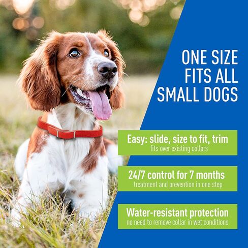 Adams Plus Flea & Tick Collar for Dogs, 7-Month Protection, Adjustable Collar Fits Small Dogs & Puppies, Kills & Repels Fleas, Flea Eggs, Flea Larvae, and Ticks, Kills Tick Larvae and Tick Nymphs in Saudi Arabia