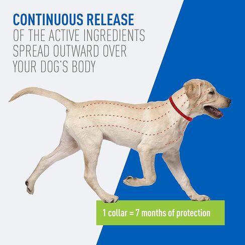 Adams Plus Flea & Tick Collar for Dogs, 7-Month Protection, Adjustable Collar Fits Small Dogs & Puppies, Kills & Repels Fleas, Flea Eggs, Flea Larvae, and Ticks, Kills Tick Larvae and Tick Nymphs in Saudi Arabia