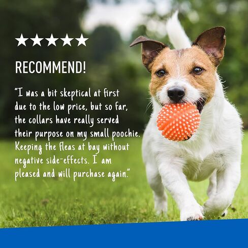 Adams Plus Flea & Tick Collar for Dogs, 7-Month Protection, Adjustable Collar Fits Small Dogs & Puppies, Kills & Repels Fleas, Flea Eggs, Flea Larvae, and Ticks, Kills Tick Larvae and Tick Nymphs in Saudi Arabia