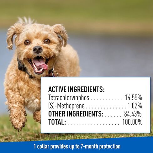 Adams Plus Flea & Tick Collar for Dogs, 7-Month Protection, Adjustable Collar Fits Small Dogs & Puppies, Kills & Repels Fleas, Flea Eggs, Flea Larvae, and Ticks, Kills Tick Larvae and Tick Nymphs in Saudi Arabia