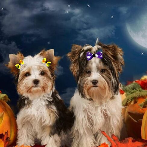 Petunny Halloween Dog Hair Bows - 50Pcs Yorkie Dog Bows Bowknot Fall Autumn Pet Hair Bows with Rubber Bands Handmade Pet Hair Accessories(Random Color) in Saudi Arabia