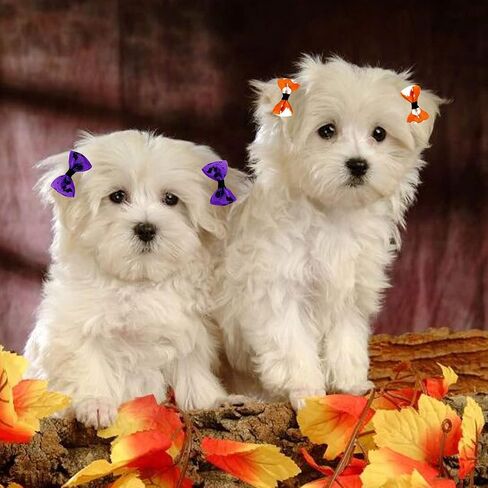 Petunny Halloween Dog Hair Bows - 50Pcs Yorkie Dog Bows Bowknot Fall Autumn Pet Hair Bows with Rubber Bands Handmade Pet Hair Accessories(Random Color) in Saudi Arabia