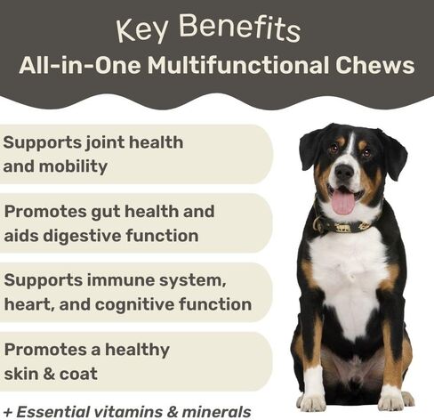 تحافظ الكلاب على مضغ الفيتامينات المتعددة للكلاب - الجلوكوزامين، والكوندرويتين، والبروبيوتيك، وفيتامينات ومكملات الكلاب - دعم مفاصل الكلاب، ومكمل صحة القلب والأمعاء والمناعة - 90 قطعة من الحلوى للكلاب in Kuwait