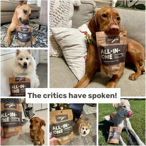 تحافظ الكلاب على مضغ الفيتامينات المتعددة للكلاب - الجلوكوزامين، والكوندرويتين، والبروبيوتيك، وفيتامينات ومكملات الكلاب - دعم مفاصل الكلاب، ومكمل صحة القلب والأمعاء والمناعة - 90 قطعة من الحلوى للكلاب in Kuwait