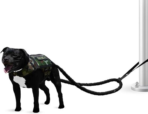 Xdog Resistance Band (8 Feet) | Dog Exercise Equipment for Core Strength, Muscle Building, and Dog Weight Loss | Premium Dog Agility Training Equipment | Perfect for High Energy Dogs in Saudi Arabia