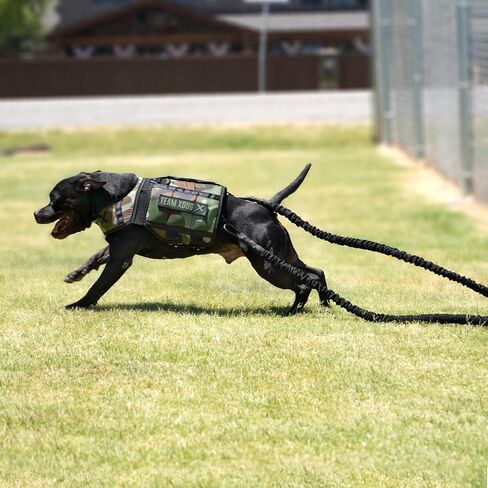 Xdog Resistance Band (8 Feet) | Dog Exercise Equipment for Core Strength, Muscle Building, and Dog Weight Loss | Premium Dog Agility Training Equipment | Perfect for High Energy Dogs in Saudi Arabia