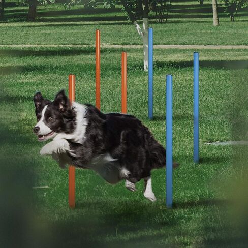 Dog Agility Training Equipment, 28 Piece Dog Obstacle Course, Training and Interactive Play includes Dog Tunnel, Adjustable Hurdles, Poles, Whistle, Rope Toy with Carrying Case in Saudi Arabia