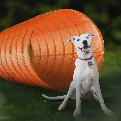Dog Agility Training Equipment, 28 Piece Dog Obstacle Course, Training and Interactive Play includes Dog Tunnel, Adjustable Hurdles, Poles, Whistle, Rope Toy with Carrying Case in Saudi Arabia