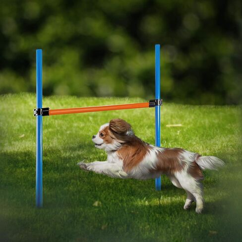 Dog Agility Training Equipment, 28 Piece Dog Obstacle Course, Training and Interactive Play includes Dog Tunnel, Adjustable Hurdles, Poles, Whistle, Rope Toy with Carrying Case in Saudi Arabia